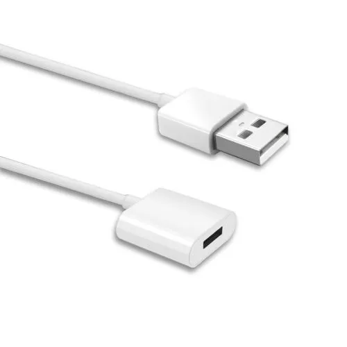 Rayo Femenino Carga Adaptador Cable Cargador Para iPad Pro A