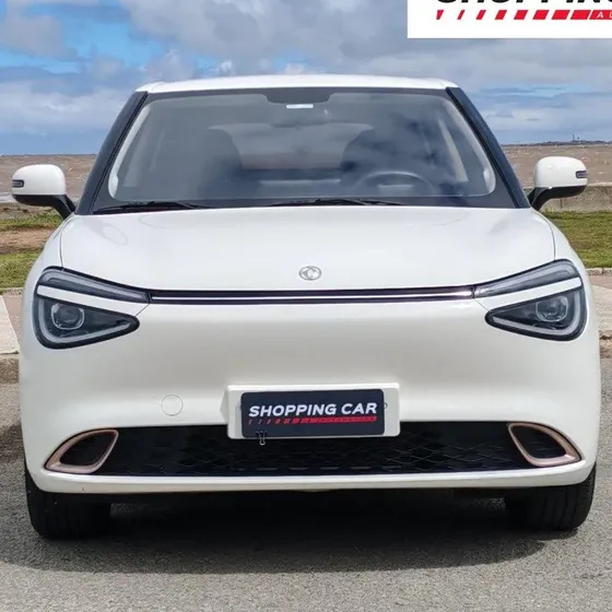 Dongfeng Nammi 2025 330
