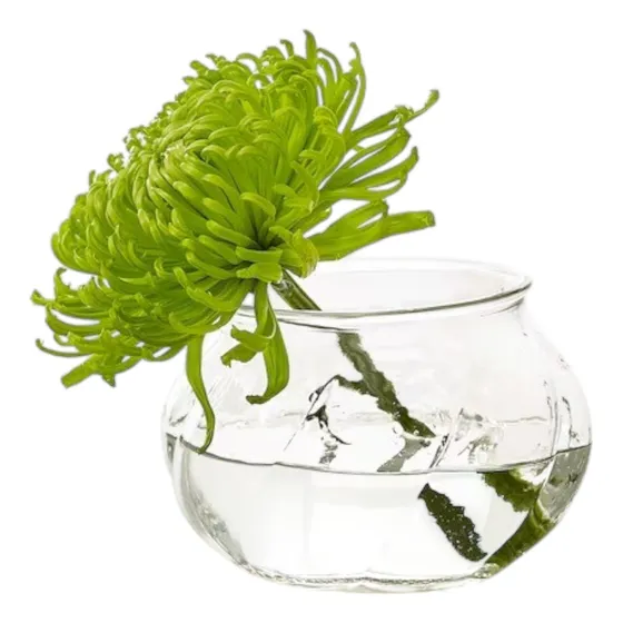 Florero De Vidrio Transparente De 8 Cm Decorativo Moderno