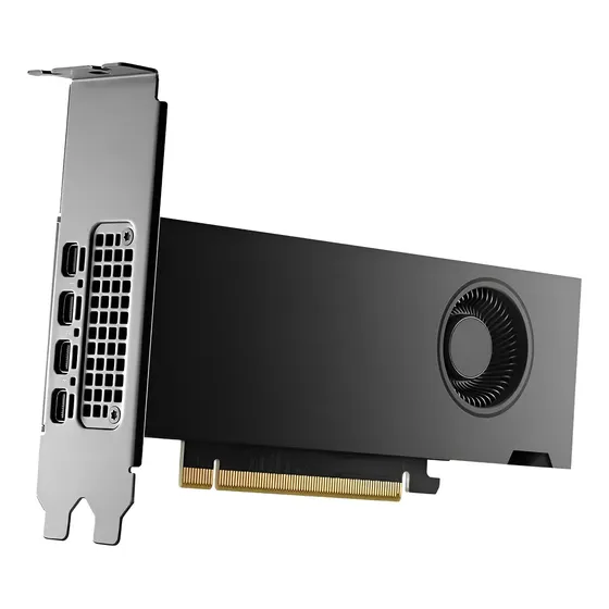 Tarjeta Gráfica Nvidia Rtx 2000 Ada 16gb