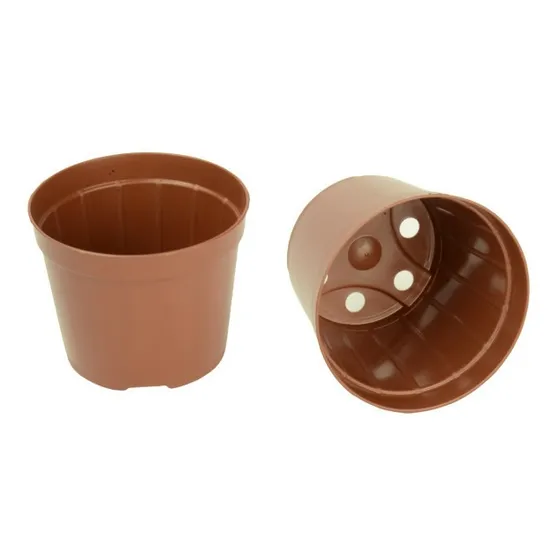 50 Vasos Marrom Pote 9 Cactos E Suculentas De 200ml