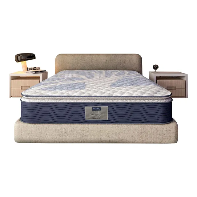Colchon Individual Restonic Confort Ortopedico Ultra Comodo Firme 25 Cms Altura
