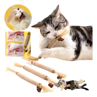 Vara Catnip Limpa Dente Gato Pet Brinquedo Morder Matatabi