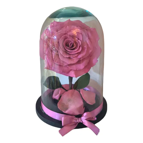 Rosa Eterna Premium.  Colores A Elegir.