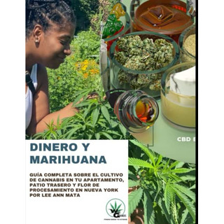 Dinero & Marihuana: Crece En Los Arboles En Nueva York El Pr Dinero & Marihuana: Crece En Los Arboles En Nueva York El Pr
