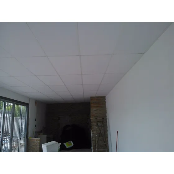 Cielorraso Desmontable Pvc Aísla Frío Calor Condensación Vea Blanco