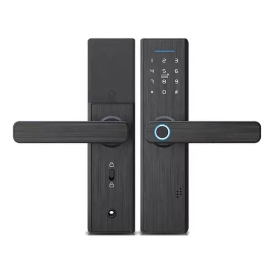 Cerradura Para Puerta Inteligente Biométrica Negro