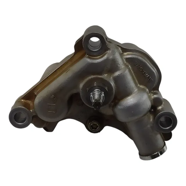 Bomba Oleo Duster Oroch Logan Sandero 1.6 16v 2016 Usado
