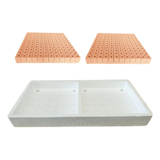 2 Placas Peatfoam 144 Cavidades Más Charola Portaplacas 2 Placas Peatfoam 144 Cavidades Más Charola Portaplacas