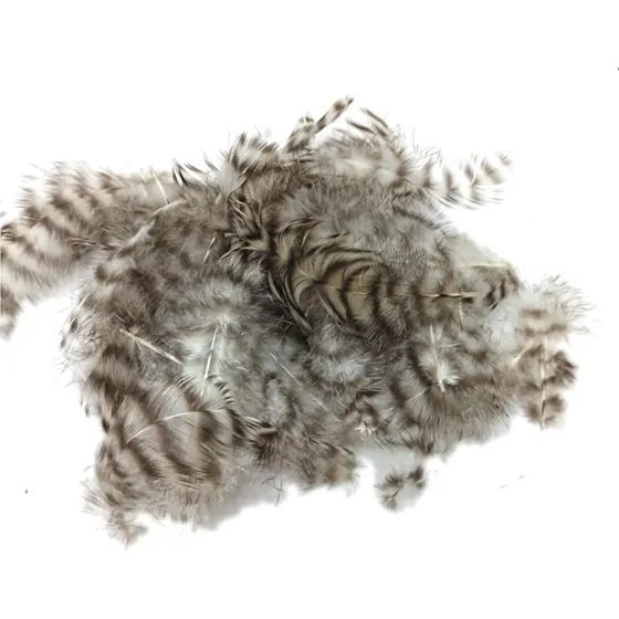 Pluma Fuzzy Wuzzy (grizzly) - Atado Moscas - (prolc)