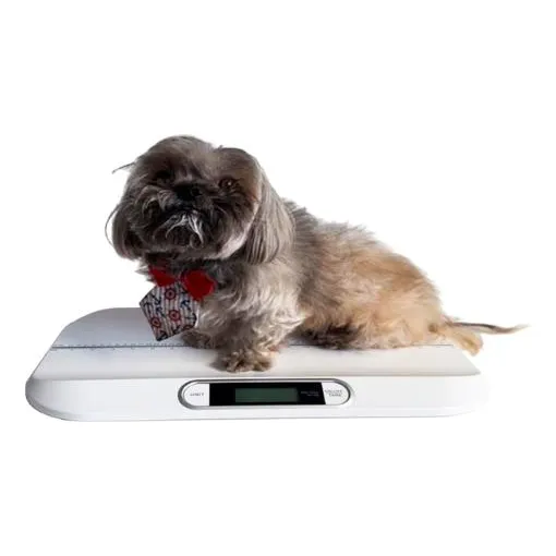 Balança Digital Para Cães E Pets Pequenos 20kg