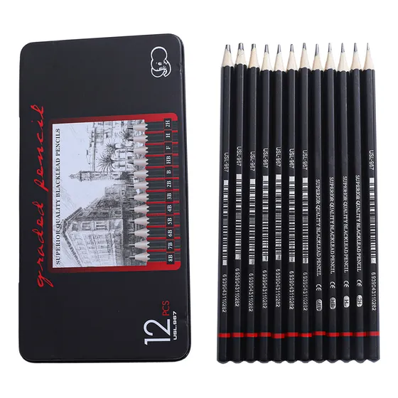 Simuky Set De 12 Lápices De Dibujo Para Dibujo Profesional H&b.
