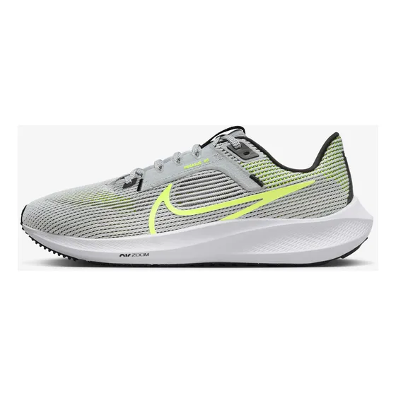 Zapatillas Para Hombre Nike Pegasus 40 Gris