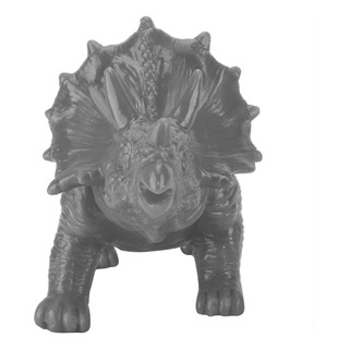 Planta Suculenta De Cactus Triceratops Animal En Maceta Planta Suculenta De Cactus Triceratops Animal En Maceta