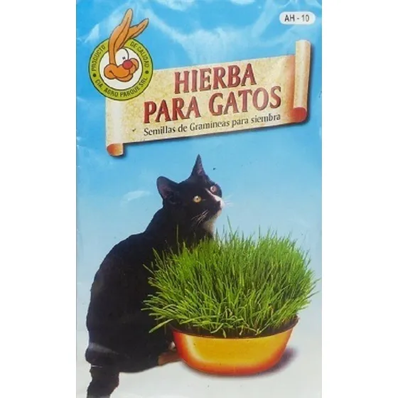 Hierba Para Gatos Semillas Hierba Gatera Purgante Gatos