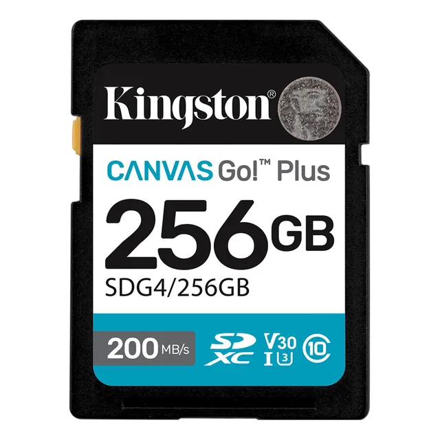 Memoria Sd Kingston 256 Gb Canvas Go Plus Sdg4/256gb 200mb/s