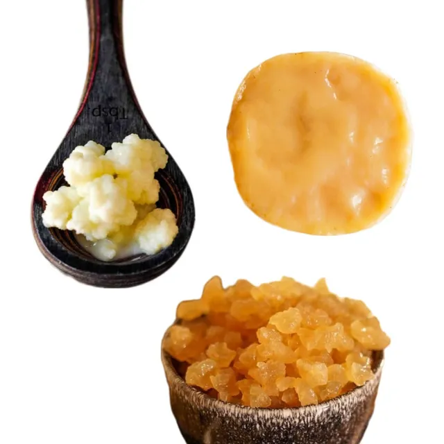  Kefir De Leite + Scoby Kombucha  + Kefir De Água + Manual