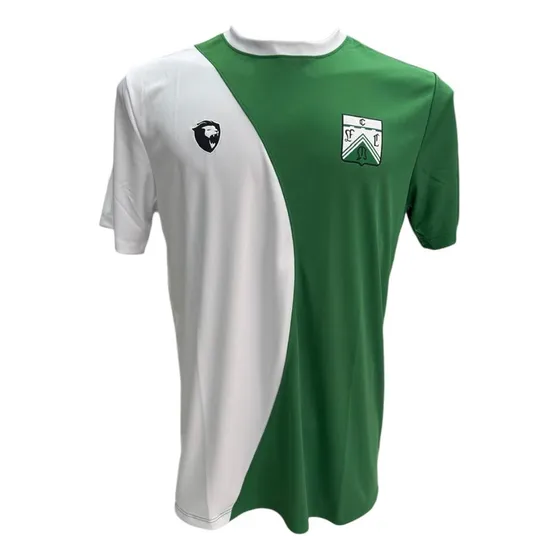 Remera Entrenamiento Ferro Carril Oeste 2025 Lyon