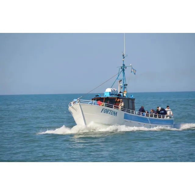 Salidas De Pesca De Altura En Mar Del Plata Desde Quim