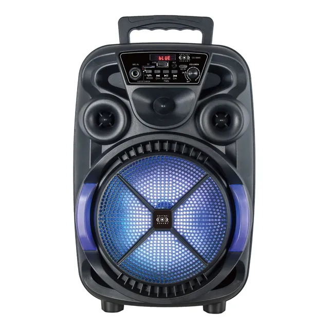 Bocina Amplificada 8 Pulgadas Bluetooth Tws Usb Radio Fm Color Negro