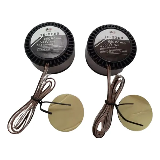 Tweeters Brillos Ts S253 Ó Ts251  1pulgada Alta Calidad X 2