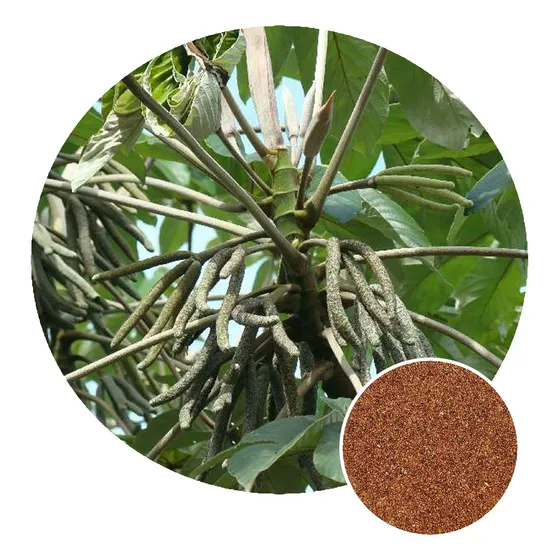 100g Sementes Embaúba Do Brejo