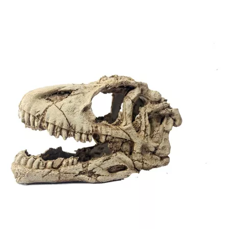 Resina Dinosaurio Cráneo Pecera para Acuario wosume Paisaje Terrario Decoración Reptil Cráneo Dinosaurio Acuario Resina Dinosaurio Horned Dragon Skull 