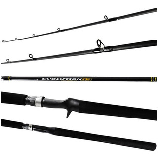 Vara P/ Carretilha Evolution G3 C581ml 15lb 1,73m 1p - Ms Vara P/ Carretilha Evolution G3 C581ml 15lb 1,73m 1p - Ms