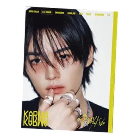 Práctico Stray Kids - 4.º Álbum [karma] (versión Accordion