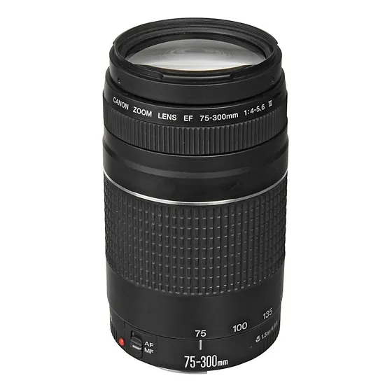 Lente Canon EF 75-300 mm F/4-5,6 Iii