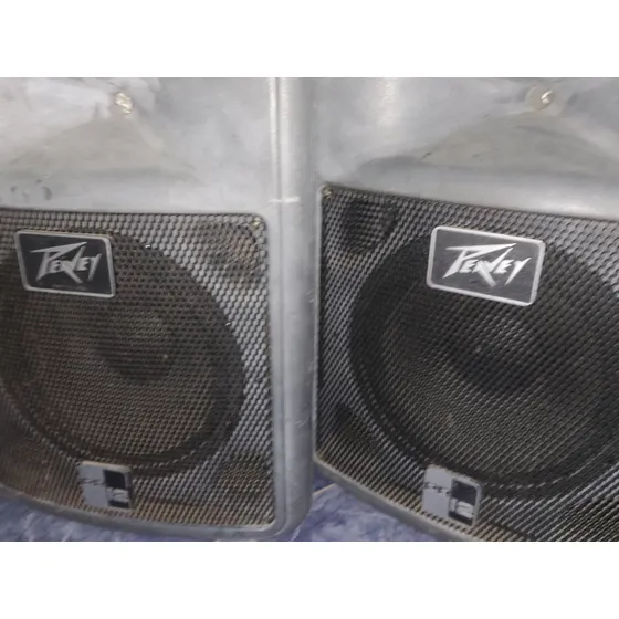 Cornetas Monitores Pevey Pr 12 Amplificados