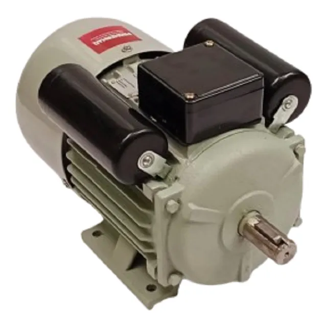 Motor Electrico De 1 Hp Monofasico (110 V-220 V) A 1800 Rpm