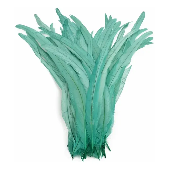 25 Plumas Cola De Gallo Sueltas 25-30cm Colores Menta 