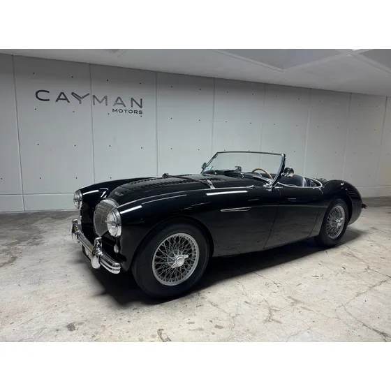 Austin Healey Bn1 Le-mans Spec 1955