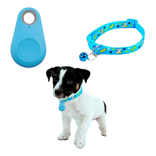 Set De Rastreador Gps Localizador + Collar Perro Gato Chico Set De Rastreador Gps Localizador + Collar Perro Gato Chico