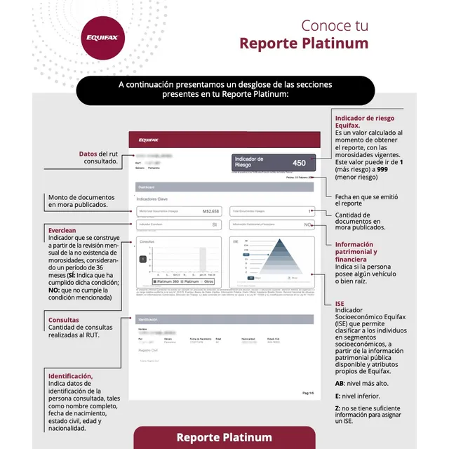 Informe Dicom Platinum 360