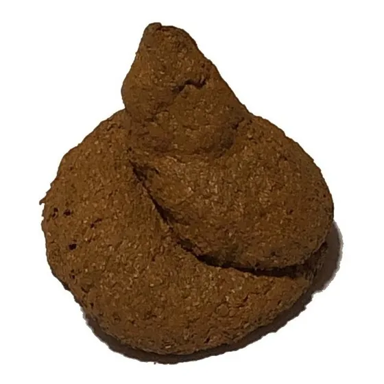 Cocô Bosta Falso Brinquedo Pegadinha