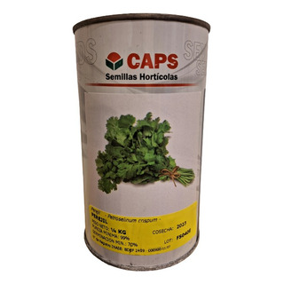 Semillas Perejil Caps 250 Gramos Lata X Mayor 100000 Semilla Semillas Perejil Caps 250 Gramos Lata X Mayor 100000 Semilla