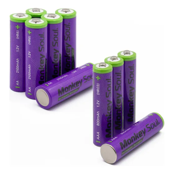 Pila Recargable Kit 6 Aa + 4 Aaa Monkey Soul Bateria 1.2v