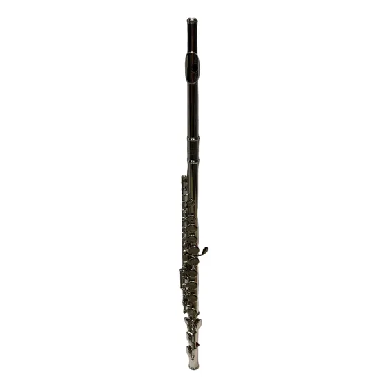 Flauta Traversa Lincoln Lwfl1201s 16 Agujeros Estuche