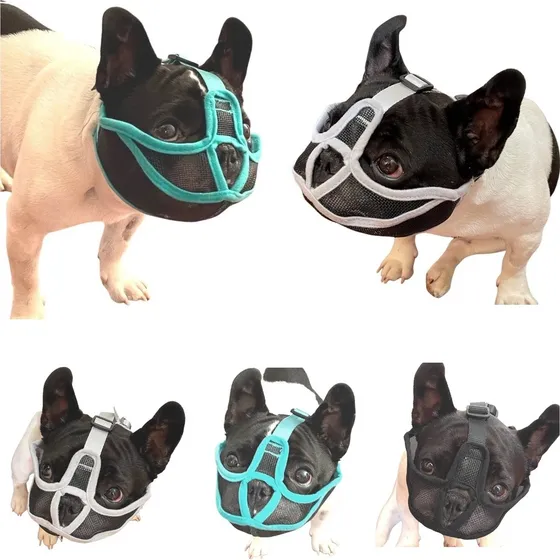 Focinheira Cachorro Bulldog Boxer Pug Shih Tzu Lhasa Maltês