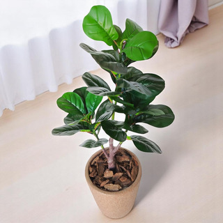 Ficus Lyrata Planta Arvore Artificial Toque Real Realista Ficus Lyrata Planta Arvore Artificial Toque Real Realista