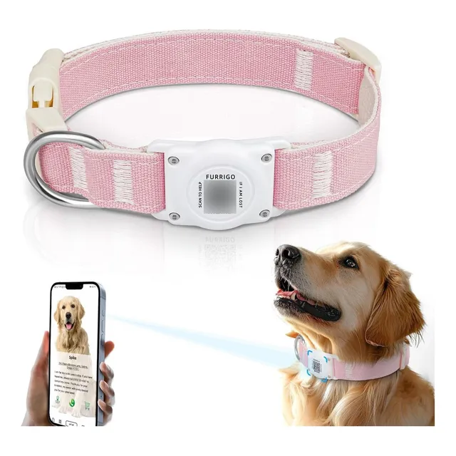 Collar De Perro Airtag Código Qr Etiqueta De Identificación