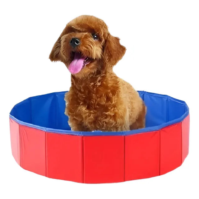 Perro Piscina Baño Cachorro Mascota Al Aire Libre Interior P