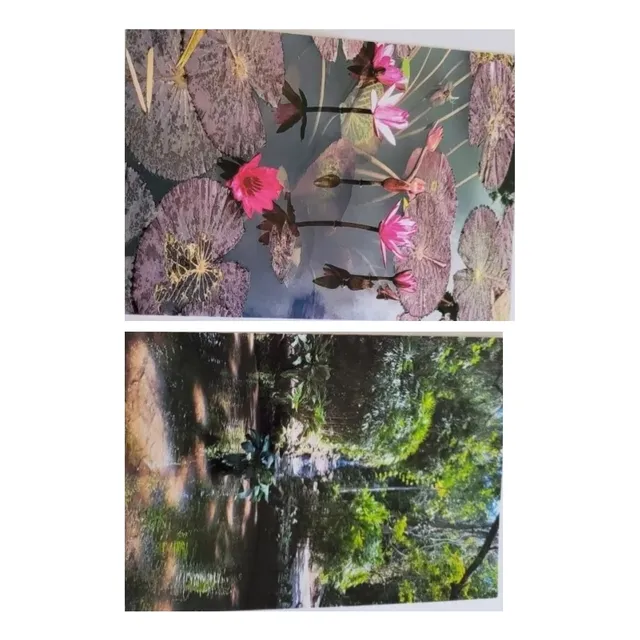 Revelado Digital Premium 10x15 Pack Por 100 Unidades