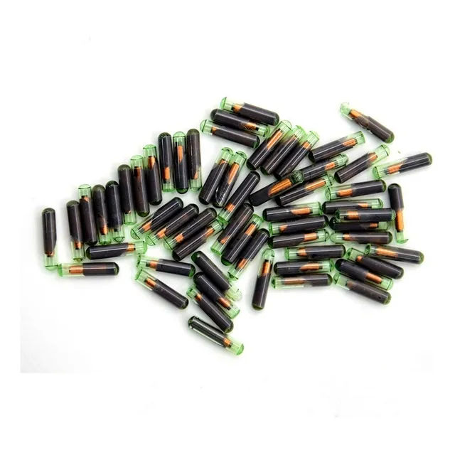 Chip Tp08 (id48) Fiat