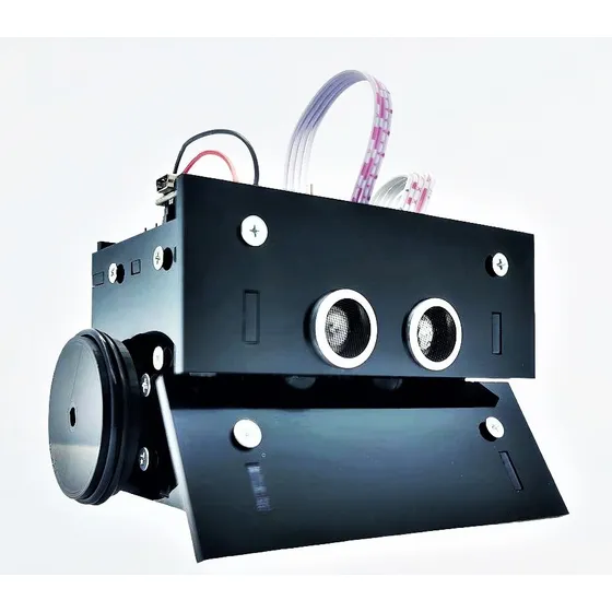 Robot Mini Sumo 10x10 Seguidor Evasor