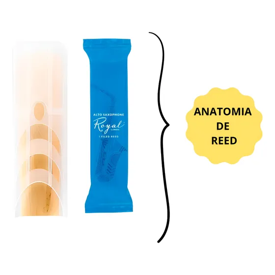 Palheta Para Sax Alto Mb Rico Royal N° 1,5 A 2,5