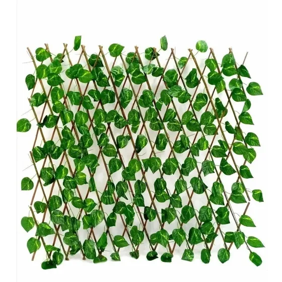 Enredadera Maya Cerca De Jardín Artificial Hoja Mata Grande 