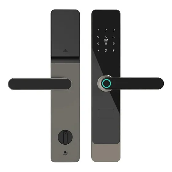 Cerradura Exterior Inteligente Wifi Tuya Smart Waterproof